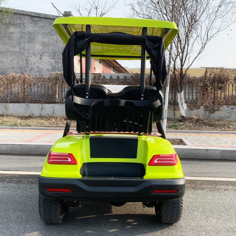 Luxury Bags Price - Carrello da Golf Elettrico di Lusso