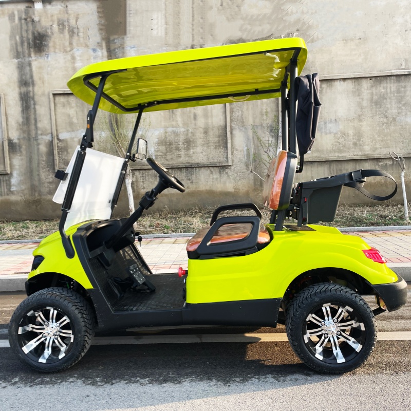 Carrello da Golf Elettrico di  - Luxury Bags Price recensione e prezzo